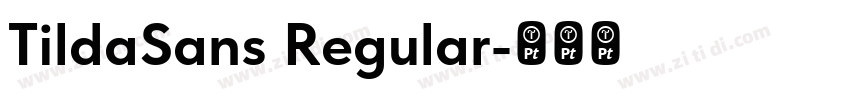 TildaSans Regular字体转换